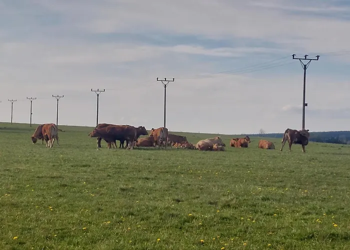 Appartamento Jadrná 2